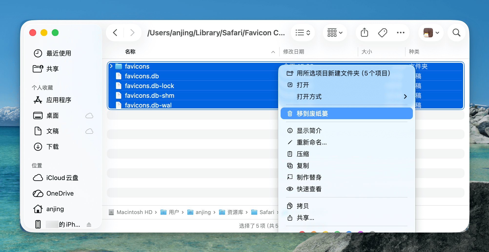 clear-safari-favicon-cache-100.png